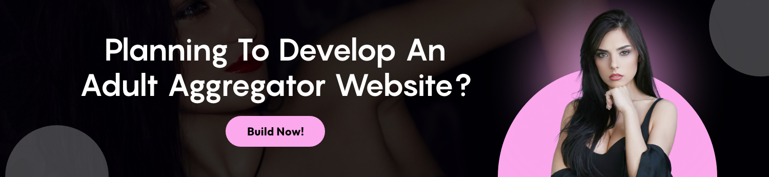 Develop An Adult Aggregator Website