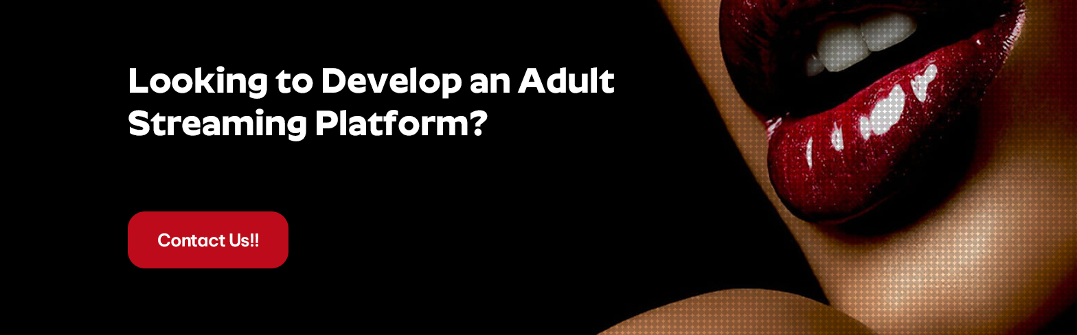 Create An Adult Website