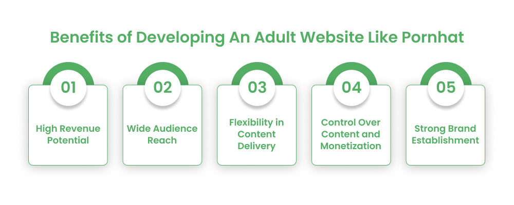 Benefits of Developing An Adult Website Like Pornhat