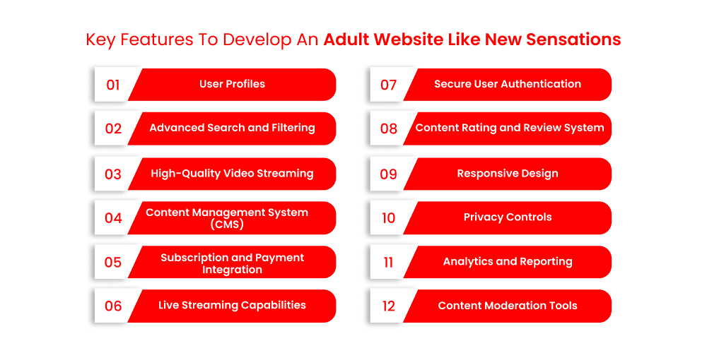 Key Features To Develop An Adult Website Like New Sensations_