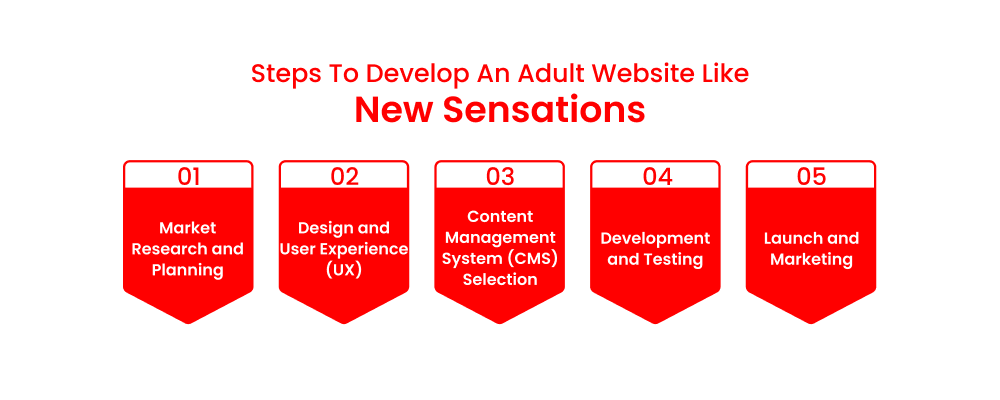 Steps To Develop An Adult Website Like New Sensations_