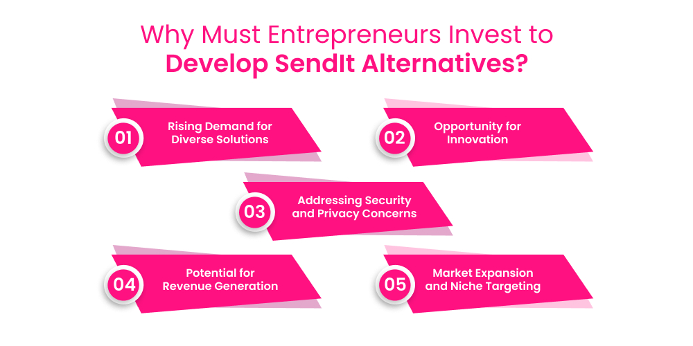 Why Must Entrepreneurs Invest to Develop SendIt Alternatives