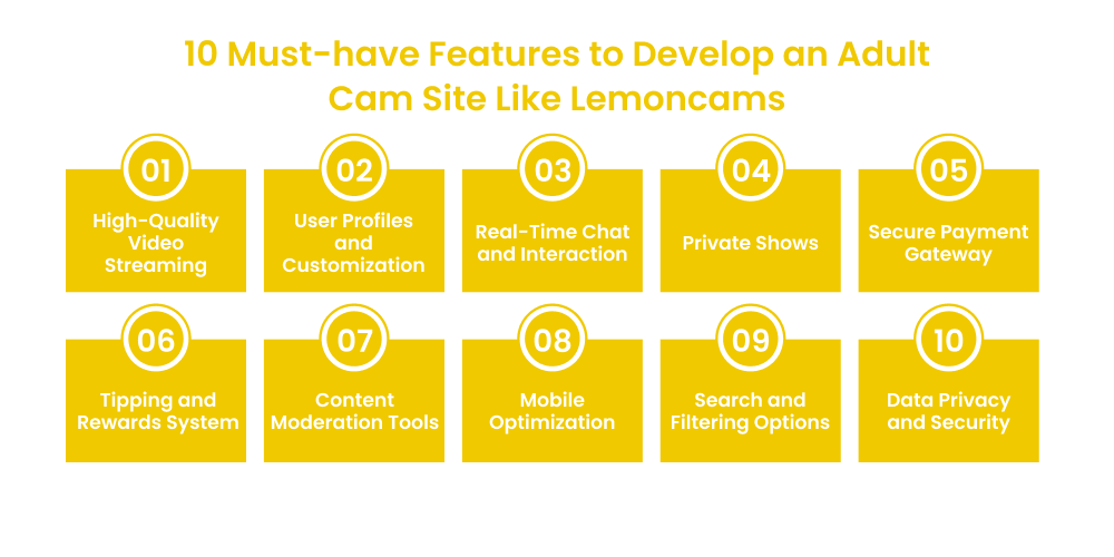 10 Must-have Features to Develop an Adult Cam Site Like Lemoncams