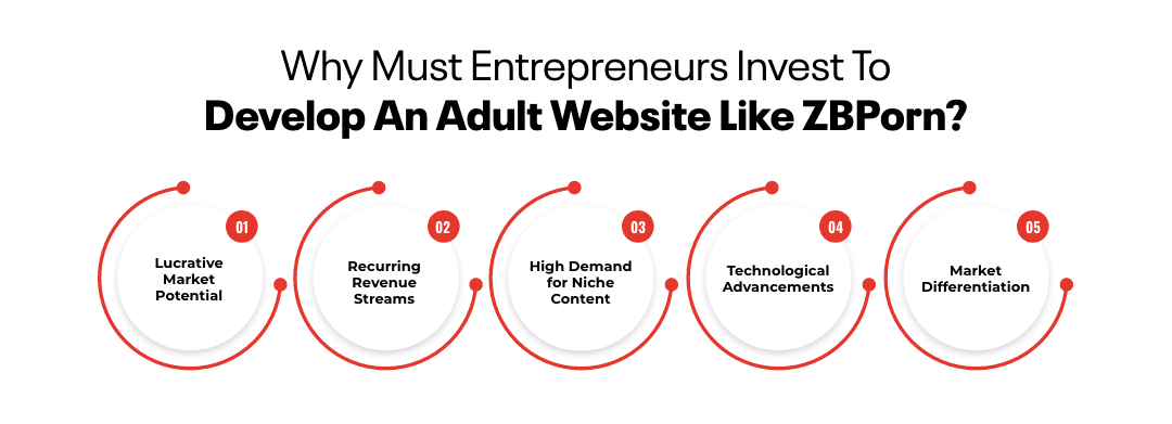 Why Must Entrepreneurs Invest To Develop An Adult Website Like ZBPorn