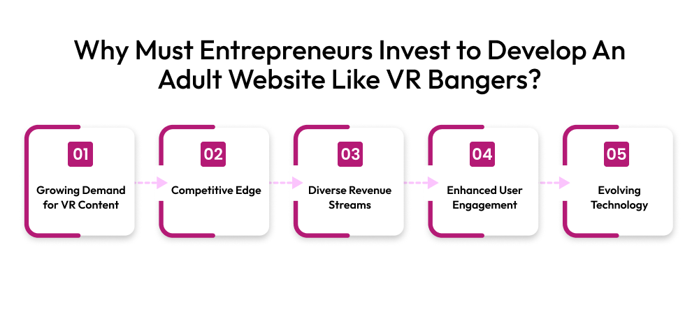 Why Must Entrepreneurs Invest to Develop An Adult Website Like VR Bangers?